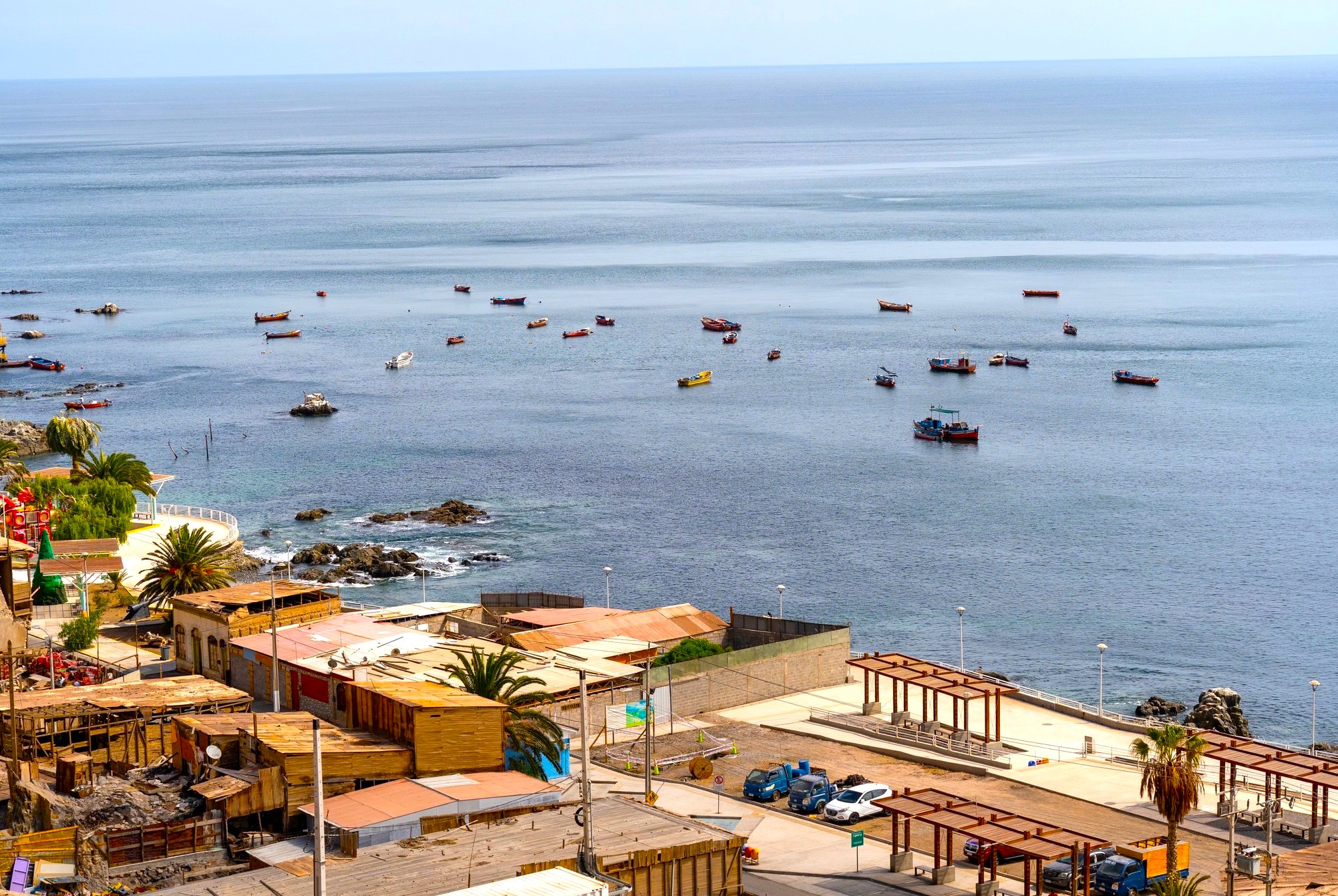 EXCURSION TO THE COVE AND HISTORICAL TOWN OF PISAGUA - Imagen 5