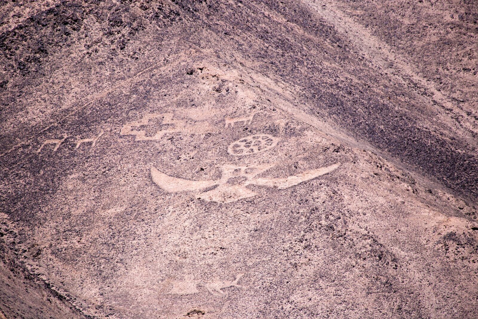 TOUR GEOGLIFOS DE PINTADOS & PUEBLOS FANTASMAS SALITREROS - Imagen 5