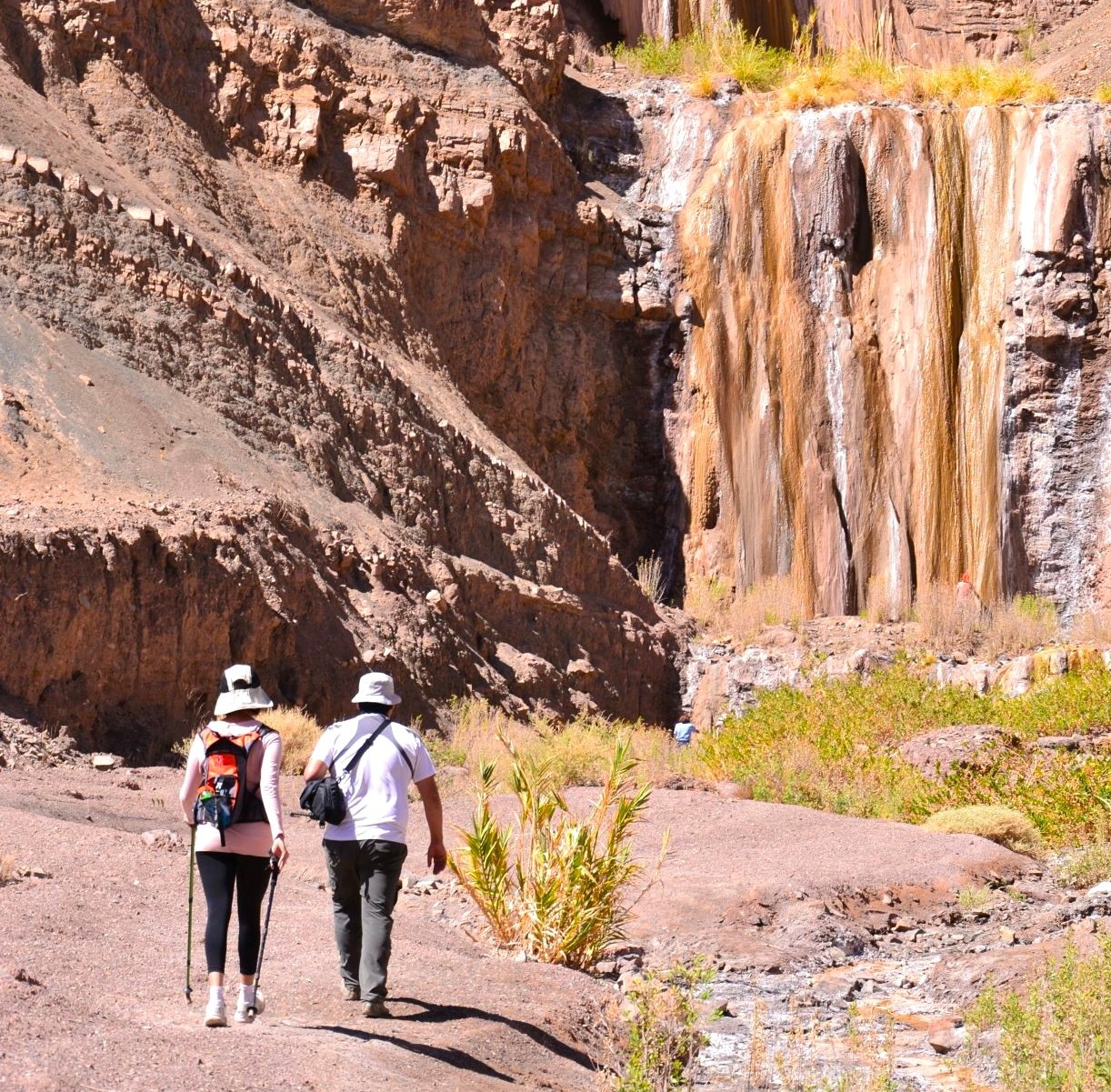 Trekking en Guatacondo