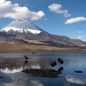 EXCURSIÓN AL PARQUE NACIONAL LAUCA & LAGO CHUNGARÁ