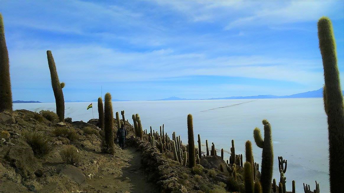UYUNI SALT FLAT & ISLUGA VOLCANO SAFARI EXCURSION - Imagen 2