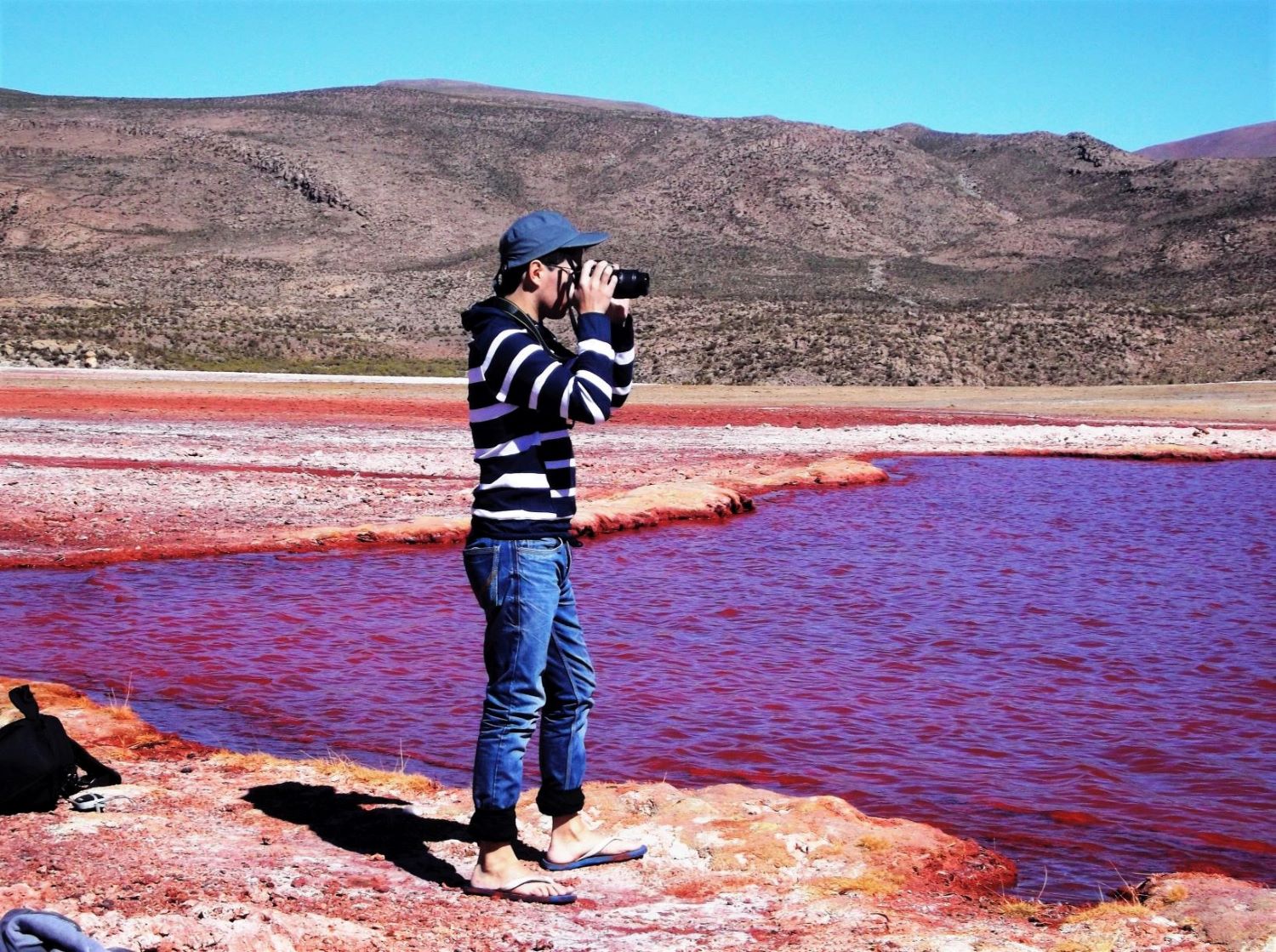 TOUR A LAGUNA ROJA DESDE IQUIQUE - Imagen 7