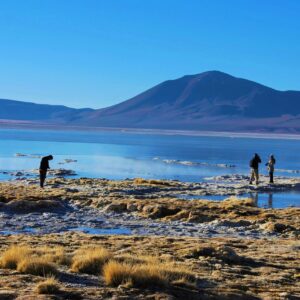 TOUR AL SALAR DEL HUASCO PARQUE NACIONAL