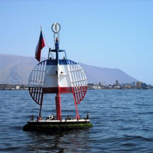 CITY TOUR IQUIQUE + NAVEGACIÓN A BOYA ESMERALDA