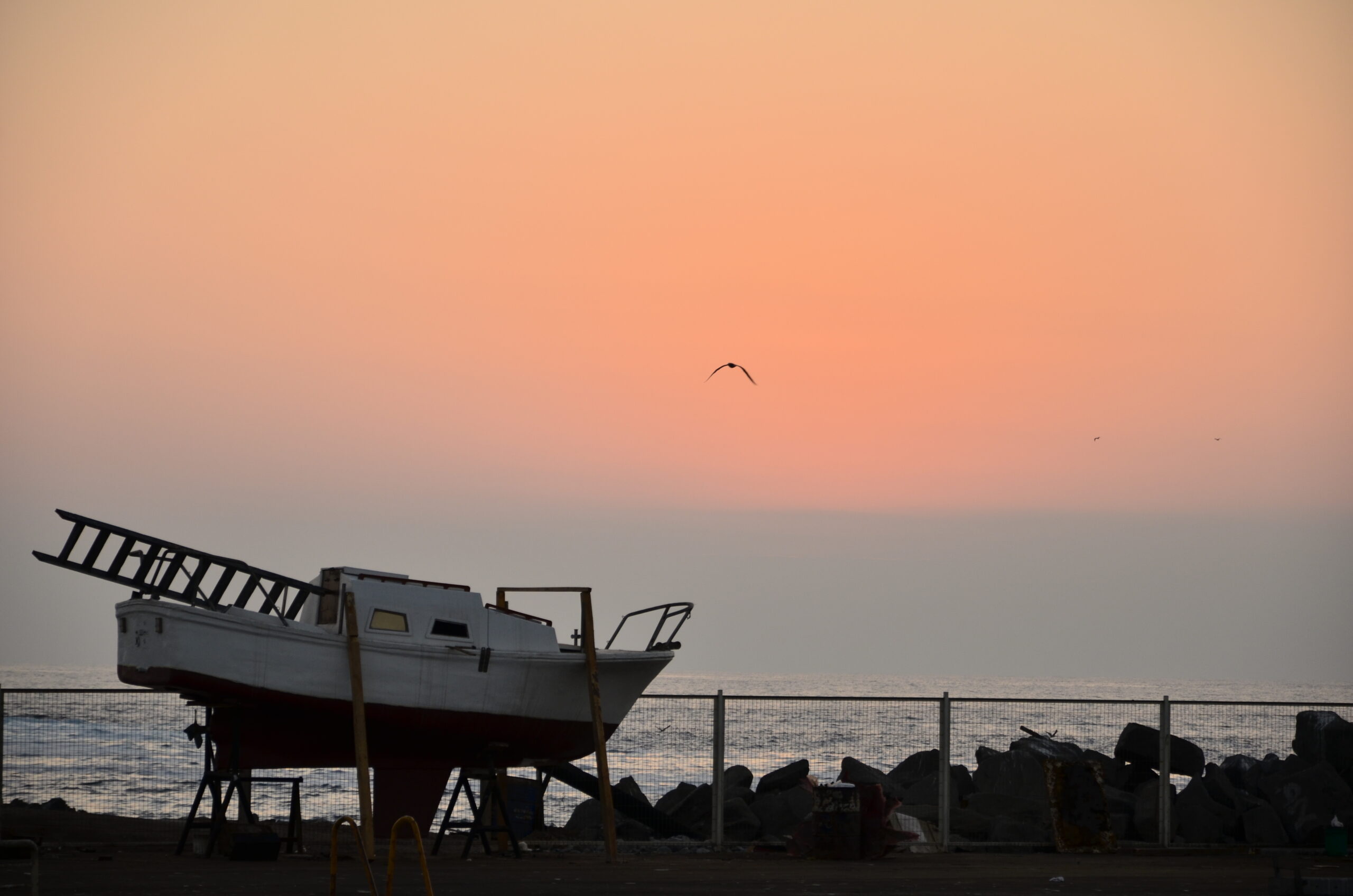 IQUIQUE CITY TOUR & RUTA MUSEO CORBETA ESMERALDA - Imagen 4