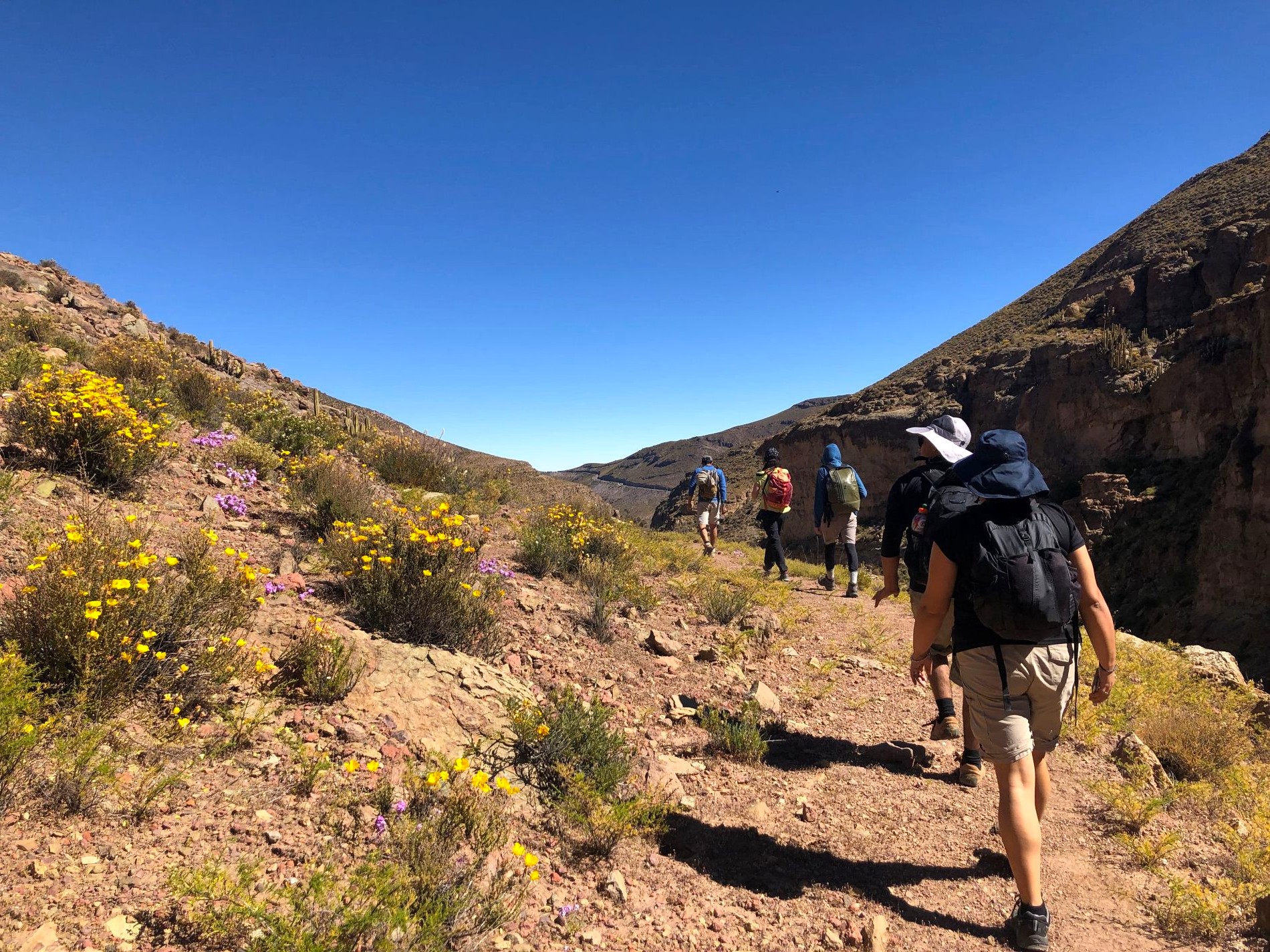 TERAPEUTIC TREKKING TOUR & HOT SPRINGS OF CHUSMIZA - Imagen 7