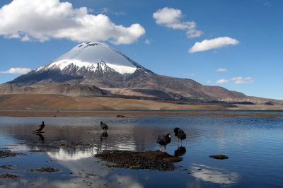Lago Chungara