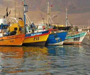 Botes pesqueros de Muelle Prat
