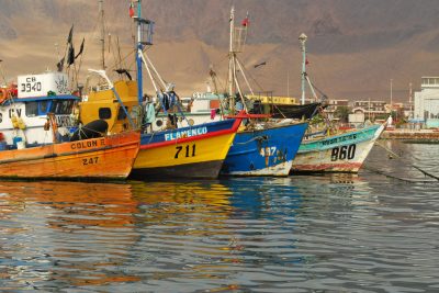 Botes pesqueros de Muelle Prat
