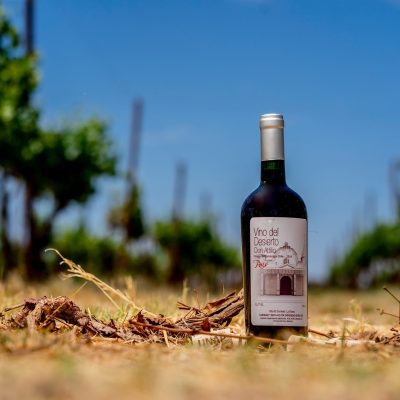 Foto Ruta del Vino 09