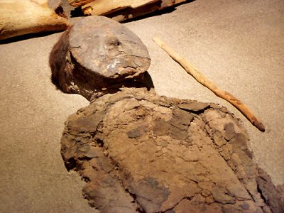 Momia Chinchorro - Valle de Azapa