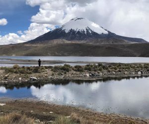 Parque nacional Lauca y Volcán Parinacota