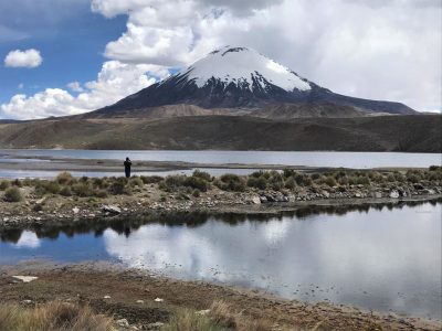 Parque nacional Lauca y Volcán Parinacota