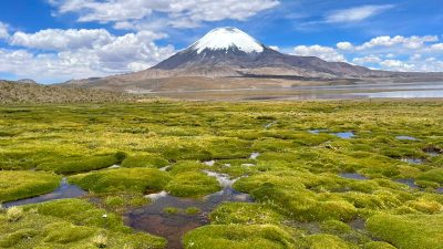 Parque nacional Lauca