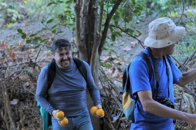 Agroturismo en Oasis de Pica