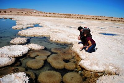 Salar de Llamara
