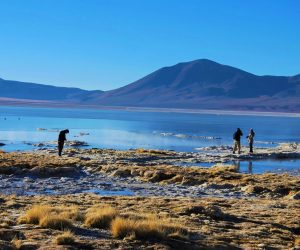 Turistas en Salar del Huasco