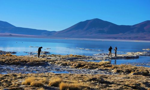 Turistas en Salar del Huasco