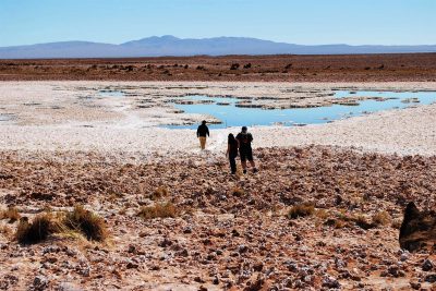 Turistas recorriendo el Salar de Llamara