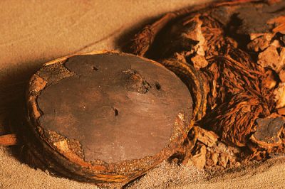 Momia Chinchorro - Museo arqueológico de Azapa